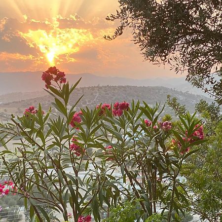 Endless Sunset Villa Pentakomo Dış mekan fotoğraf