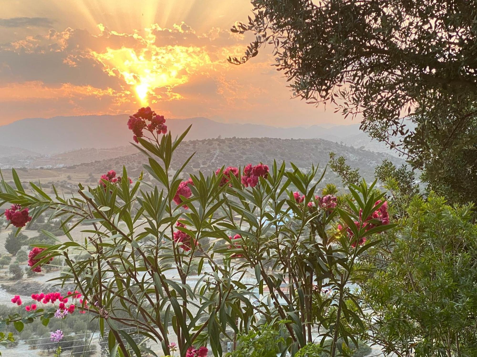 Endless Sunset Villa Pentakomo Dış mekan fotoğraf